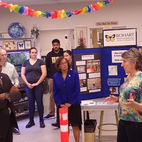 Lynn Kimsey (far right), director of the Bohart Museum of Entomology, talks about the history of the insect museum to UC Davis Chancellor Gary May and Dean Helene Dillard (center) of the College of Agricultural and Environmental Sciences. In back are Steve Nadler, chair of the Department of Entomology and Nematmology; undergraduate students Emma Cluff and Lohit Garikipati and Nann Fangue, current chair of the Wildlife, Fish and Conservation Biology Department. (Photo by Kathy Keatley Garvey)