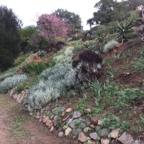 photos by Michelle Davis