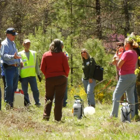 UCCE rangeland advisor meets with ranchers in the field to discuss rangeland management decisions.