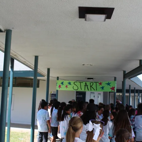 students lined up to start the 3K run