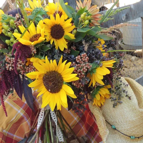 Sunflower arrangement Laura Westley