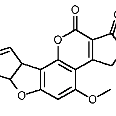 An aflatoxin molecule.