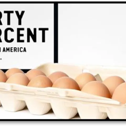 40percent of food wasted eggs