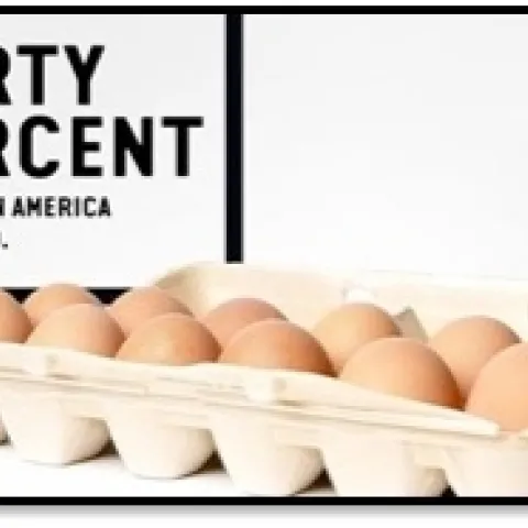 Un 40 por ciendo de los alimentos se desperdician.