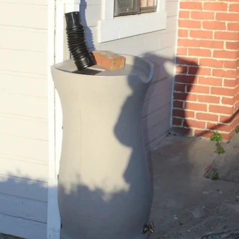 rain catch-brenda altman 2018 (2)