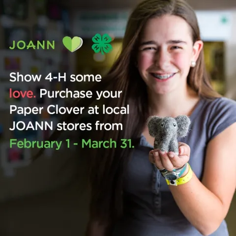 800x800-Joann-Elephant--PaperClover