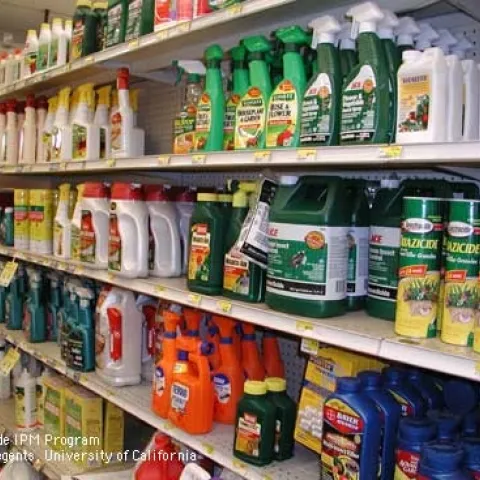 A retail shelf showing various pesticide containers. (Photo: Cheryl A. Reynolds)