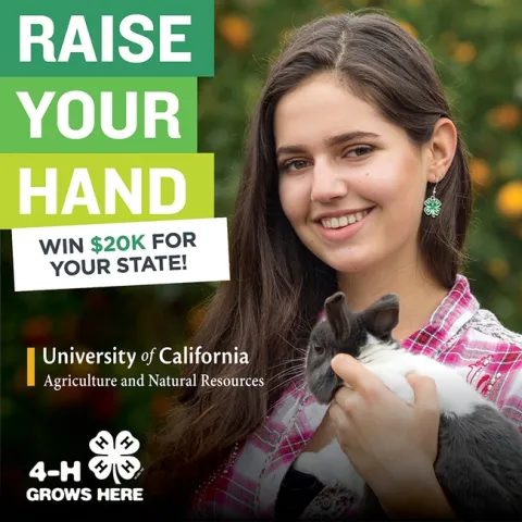 800X800-CA-Bunny-20k-RYH-2018