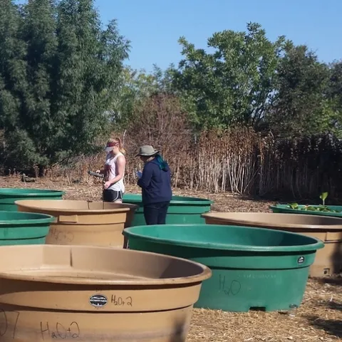 Alice Liu and Taylor Barca take water quality measurements at a fluridone control tank at the Mesocosm Experiment in 2015 (picture credit: M. Portilla).