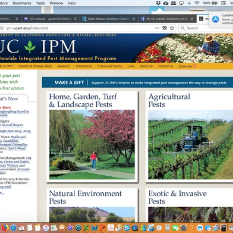 Find all kinds of help here: UC IPM.