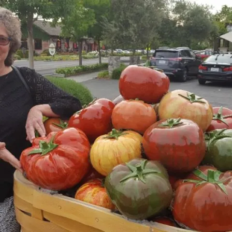 Artist-entomologist Diane Ullman with a tomato sculpture.