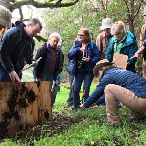 Hopland Research & Extension Center Naturalists monitoring herpetofauna.