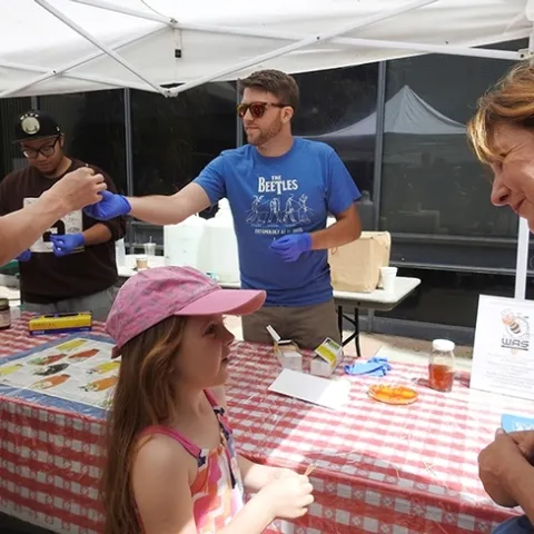 Graduate student Jackson Audley offers a sample at the Honey Tasting booth at Briggs Hall during the 2017 UC Davis Picnic Day. (Photo by Kathy Keatley Garvey)