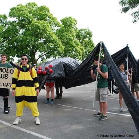 This is the UC Davis Entomology Club's 2017 prize-winning float depicting a 40-foot long black widow spider. (Photo by Melissa Cruz)