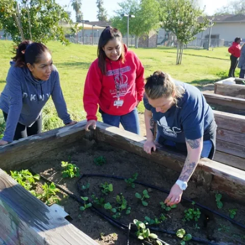 Left to right, Cynthia, Jasmine, and Darcy work in the garden.