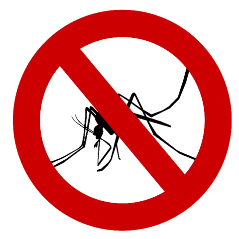 no mosquitoes