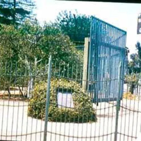 navel Washington in Riverside