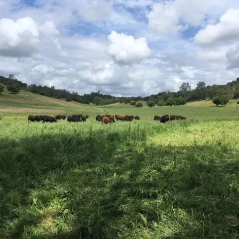 2018 grazing school pic2