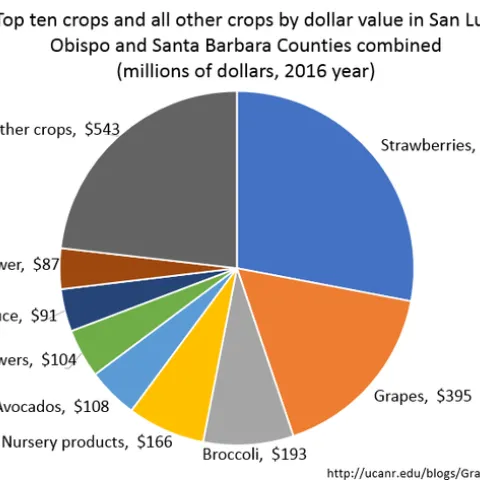Figure 1. Crop values for SLO and SB Counties combined in 2016. The total crop value for both counties was $2.34 billion. Source: SLO and SB County Ag Commissioner's Crop Reports.