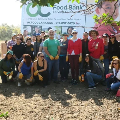 ASICS gleans citrus at South Coast REC.