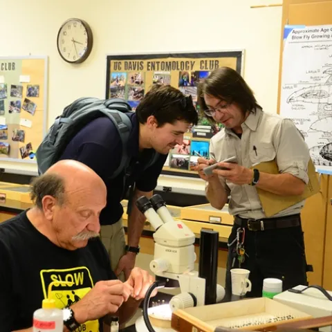 Forensic entomologist Robert Kimsey (foreground) works on his project at his Dr. Death table in 122 Briggs Hall, while doctoral candidate Brendon Boudinot (right) answers a question from a visitor. Kimsey and Boudinot co-chaired the Briggs Hall Picnic Day activities that won the campuswide best exhibit in the "One with Nature" category. (Photo by Kathy Keatley Garvey)