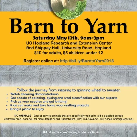 Barn to Yarn 2017 - large