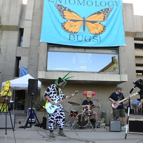 The Entomology Band performing! From left are Jill Oberski, Zach Griebenow, Brendon Boudinot, Yao Cai, Wei Lin, Jackson Audley and Christine Tabuloc. (Photo by Kathy Keatley Garvey)