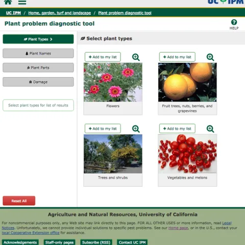 Plant problem diagnostic tool menu.