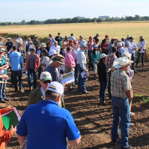 2018 Davis Field Day