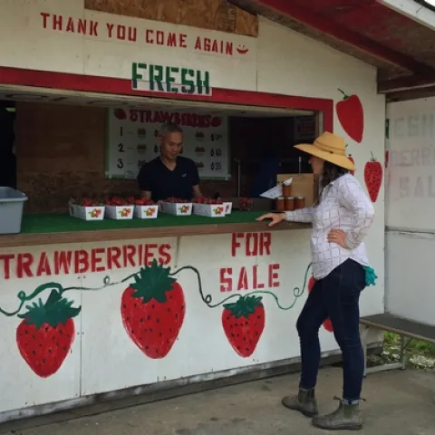 Nathan Punh, left, talks with UCCE farm advisor Margaret Lloyd, who works with about 60 Mien farms in the Sacramento area.