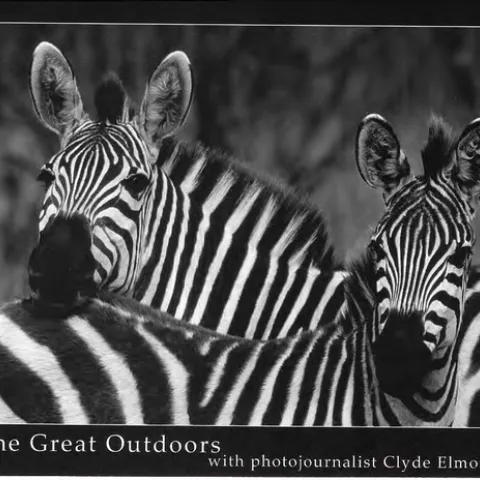 Postcard for Clyde Elmore's 2018 "The Great Outdoors" photo exhibit