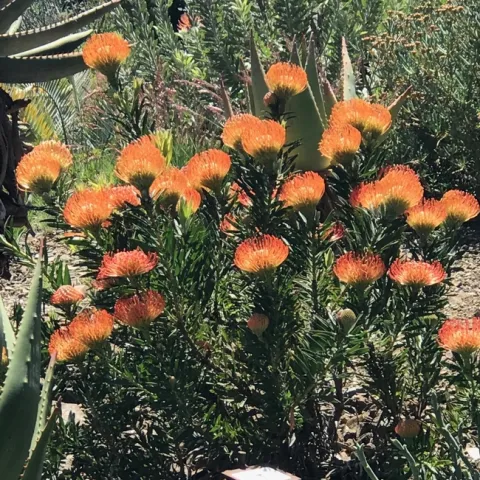 photos by Karen Metz