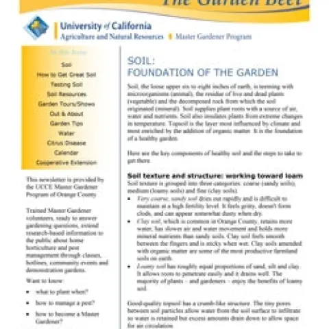 GARDEN-BEET-SPRING-2018--1