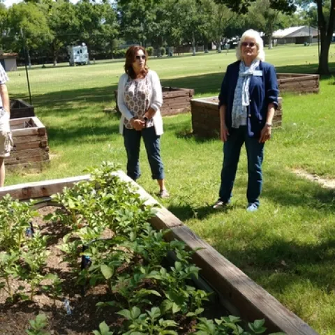 Barbara tells us about the Yuba City Learning Garden