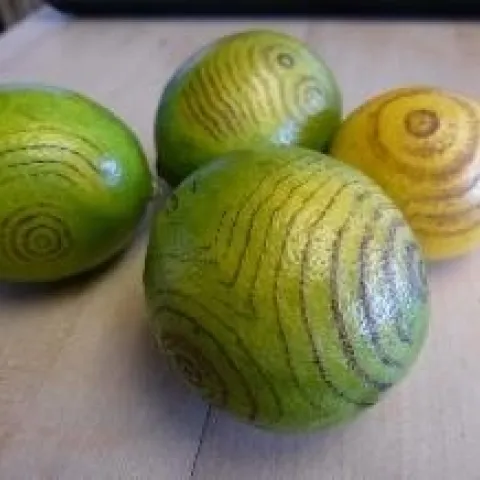 lemon tatoo compressed