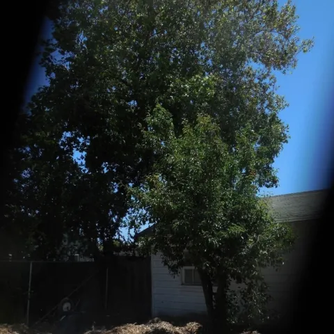 photo by Brenda Altman