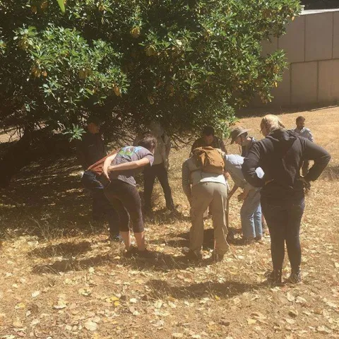 Assuming the official naturalist stance as we look under our coverboards to find skinks, wind scorpions and Western fence lizards!