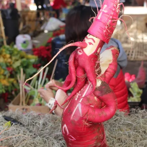 https://www.atlasobscura.com/foods/night-of-the-radishes-carving-festival?utm_source=Atlas+Obscura+Daily+Newsletter&utm_campaign=2ace36ff7b-EMAIL_CAMPAIGN_2018_06_28&utm_medium=email&utm_term=0_f36db9c480-2ace36ff7b-63569121&ct=t(EMAIL_CAMPAIGN_6_28_2018)&mc_cid=2ace36ff7b&mc_eid=cbaf3ebc5f