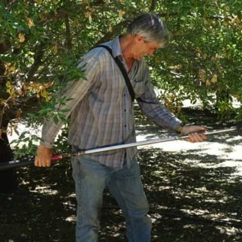 Blake Sanden developed salt tolerance thresholds for high-production California pistachios in the San Joaquin Valley.