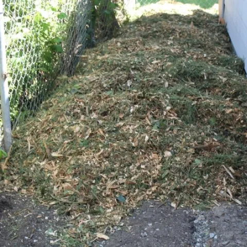 photos by Brenda Altman