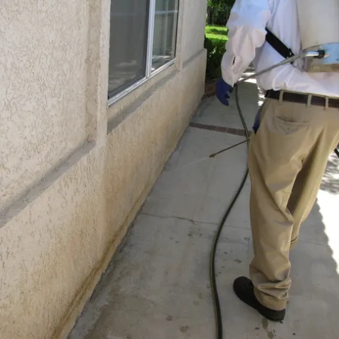 A pest management professional making a liquid application of fipronil. (Credit: Les Greenberg, UC Riverside)