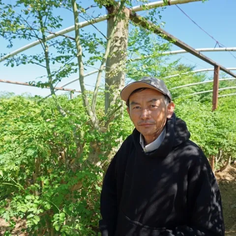 Fresno farmer Vang Thao in his moringa plantation.