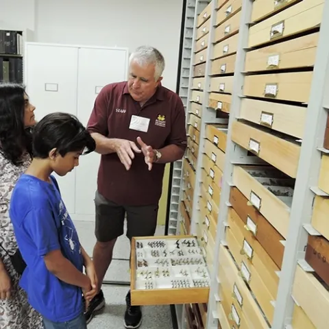 Entomologist Jeff Smith, who curates the moth and butterfly collection at the Bohart Museum of Entomlogy, talks to Prerna Jain and her son Prakrit Jain of Los Altos at last year's Moth Night. (Photo by Kathy Keatley Garvey)