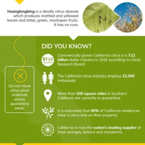 HLBInformationSheet2