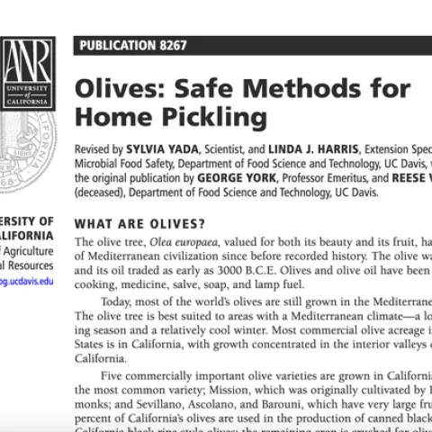 ANR Pub 8267 Olives, Safe Methods