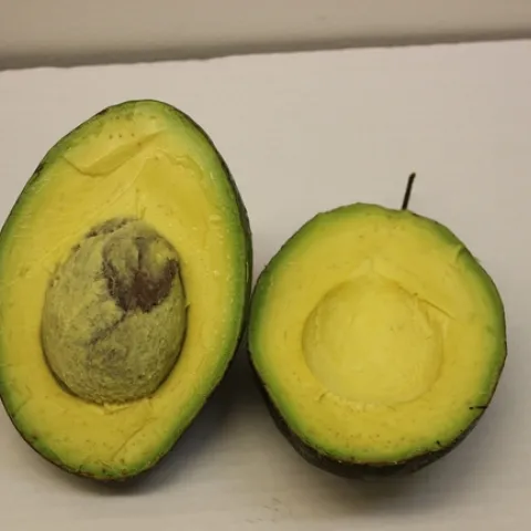 Avocado - South Coast REC