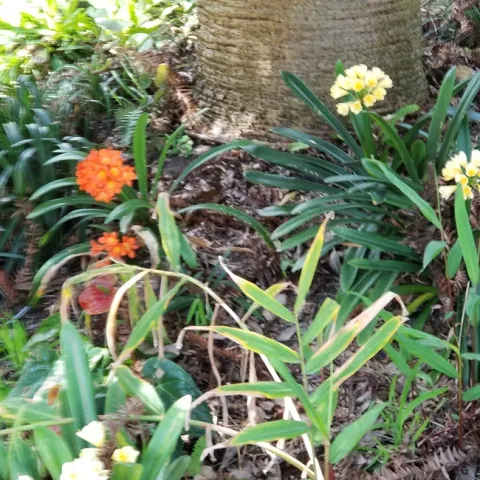 photo by Jenni Dodini