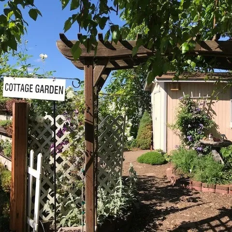 photos by Karen Metz