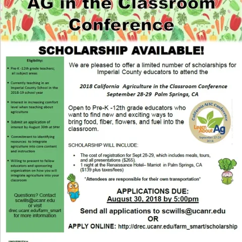 scholarship flyer new
