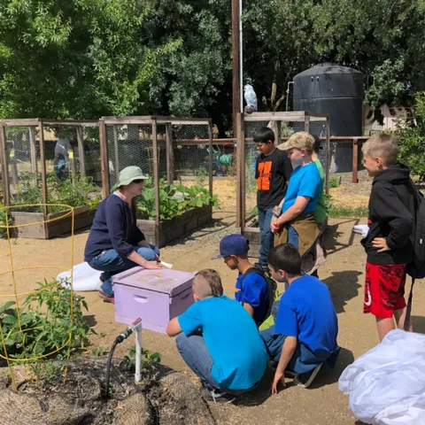 Postdoctoral scholar Laura Brutscher of the Elina Lastro Niño lab talks bees to a group of third graders from Amador County. (Photo by Kathy Keatley Garvey)